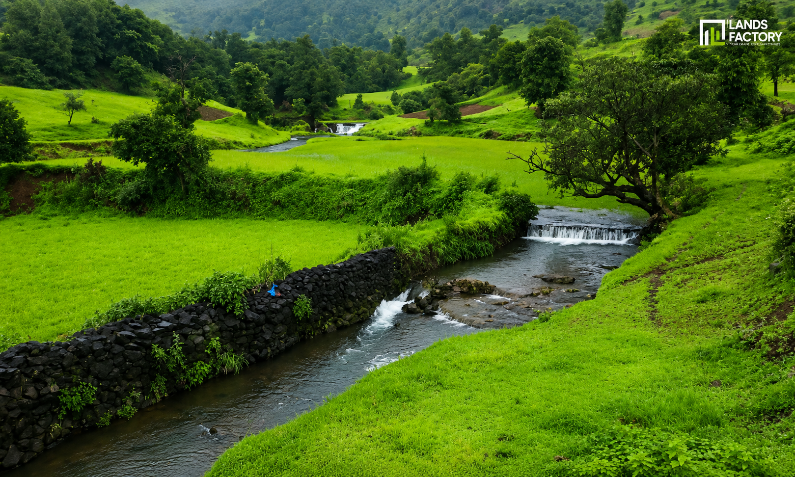 Talegaon Kachurli
