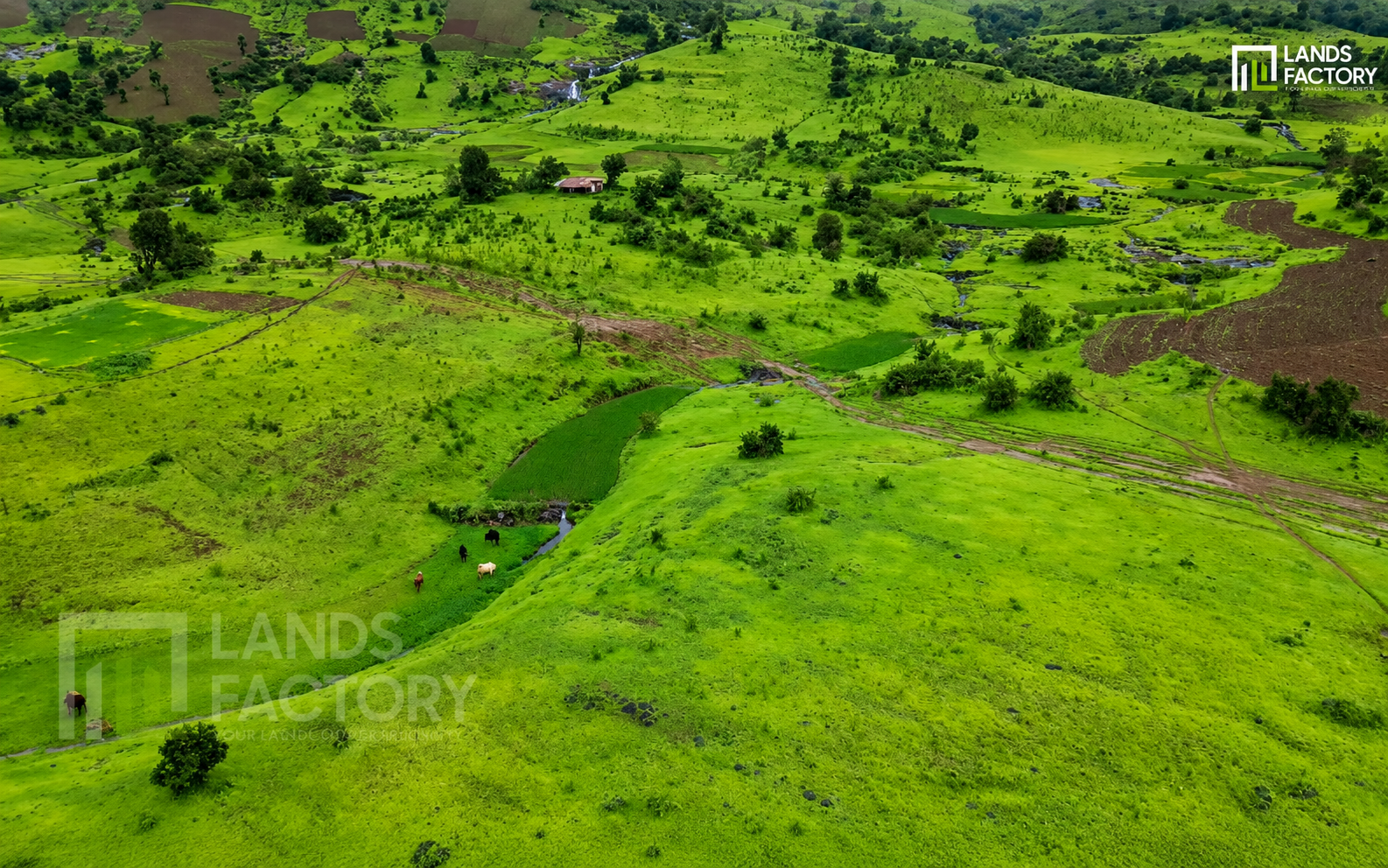 Talegaon Kachurli