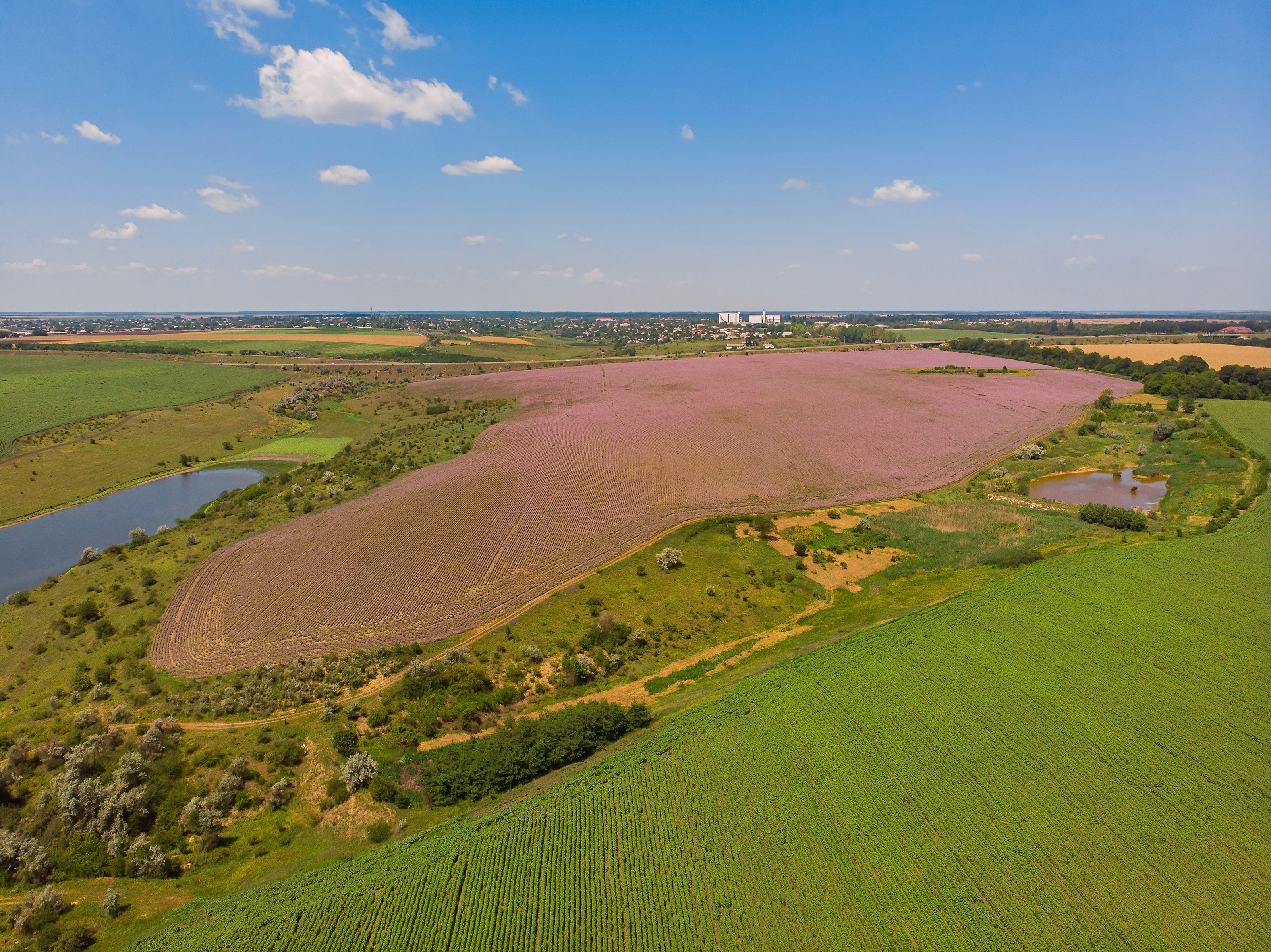 Bulk Land Parcels